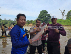 Lubuk Larangan Dibuka di Dusun Pulau Batu, Masyarakat Bungo Panen Ikan