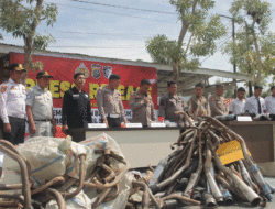 Hasil Operasi Patuh Toba, Satuan Lantas Polres Sergai Musnahkan 497 Knalpot Brong