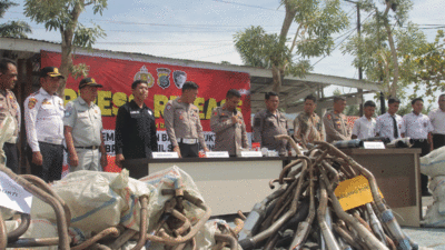 Satuan Lalu Lintas (Sat Lantas) Polres Serdang Bedagai (Sergai) memusnahkan ratusan knalpot brong hasil sitaan dari pelanggaran lalu lintas selama pelaksanaan Operasi Patuh Toba 2025. Pemusnahan dilakukan Kamis (31/7/2025) di lapangan uji praktek SIM.