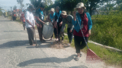 Semangat gotong royong terlihat di Desa Pematang Cermai, Kecamatan Tanjung Beringin, Serdang Bedagai (Sergai), Jumat (11/7/2025), saat puluhan mahasiswa dan warga turun ke jalan membersihkan lingkungan.