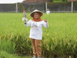 Kementerian ATR/BPN Dorong Partisipasi Masyarakat untuk Pasang Patok Batas Tanah Melalui GEMAPATAS
