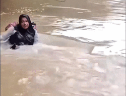 Viral! Bidan di Pasaman Seberangi Sungai Demi Menolong Warga