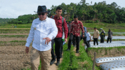 Bupati Tanah Datar, Eka Putra kunjungan kerja ke nagari Gunung Rajo, Jumat (1/8/2025).