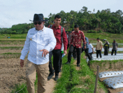Pemerintah Nagari Gunung Rajo Akan Buat Peraturan Nagari untuk Berantas Rentenir