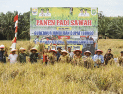 Perjuangan Bupati Dedy Putra Tak Sia-sia, Pemprov Jambi Beri Bantuan untuk Petani di Bungo, Nilainya Miliaran Rupiah