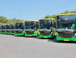 Hore, Naik Bus Trans Jatim Gratis Selama Dua Hari, Catat Jadwalnya