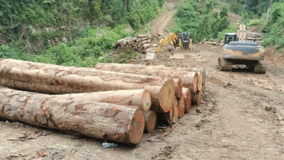 Hutan yang dibabat di Sariak Bayang, Kabupaten Solok.