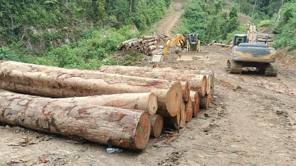 Hutan yang dibabat di Sariak Bayang, Kabupaten Solok.