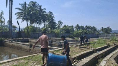 Balai Benih Ikan (BBI) Padang Panjang