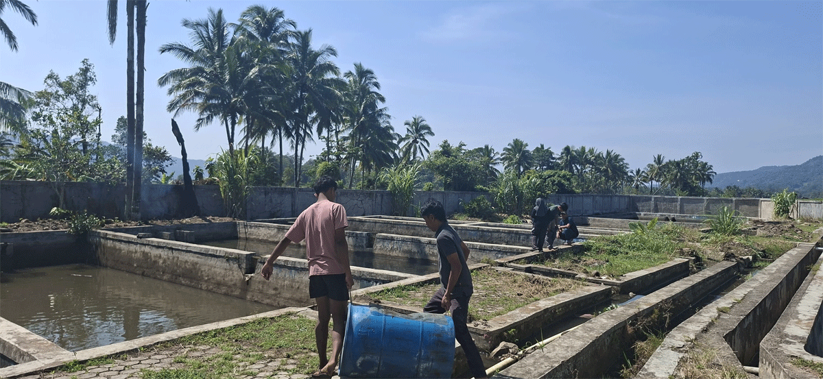 Balai Benih Ikan (BBI) Padang Panjang