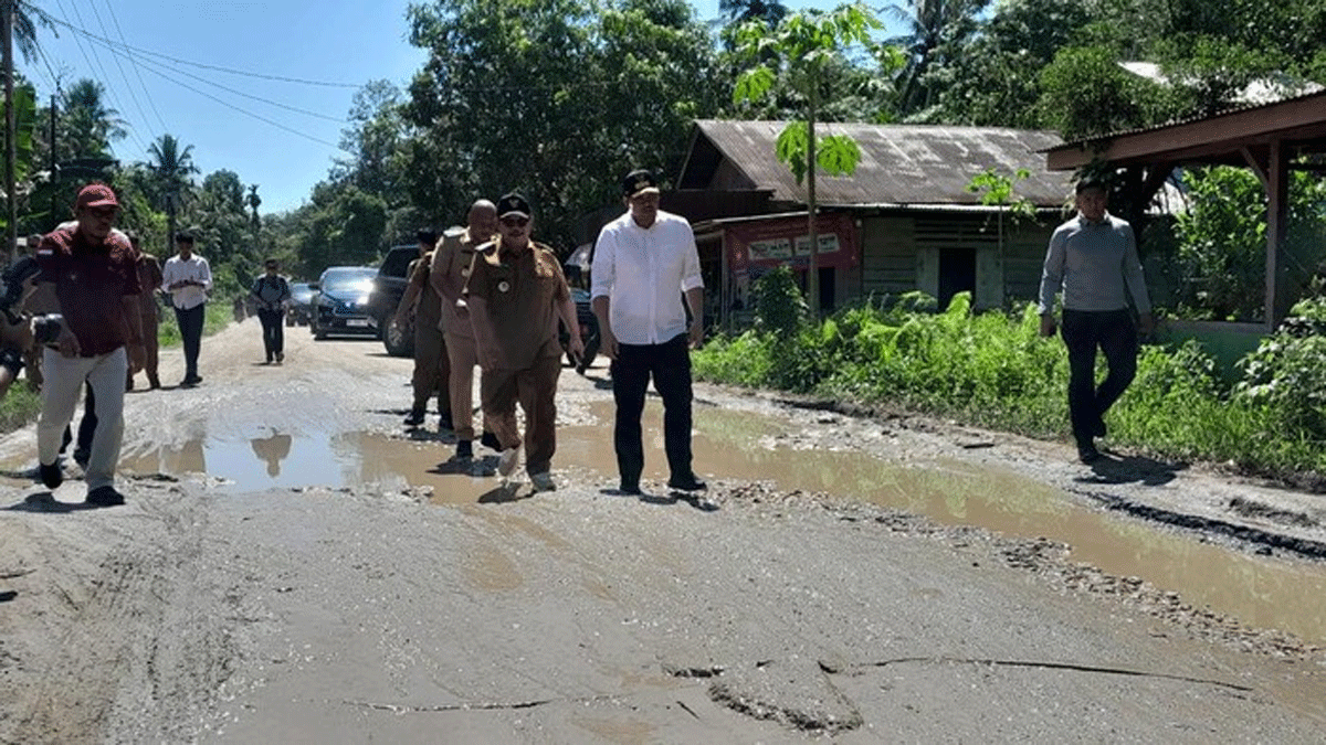 Jalan rusak di Nias. (detikcom)