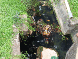 Disorot Warga, Drainase di RSUD Teluk Kuantan Kurang Terurus, Sekali-kali Gotong Royonglah