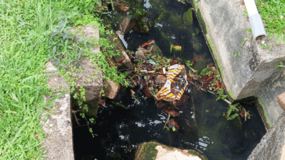 Drainase di RSUD Teluk Kuantan yang sepertinya kurang terurus
