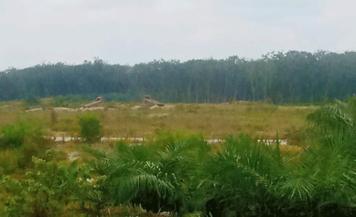 Lokasi tambang emas ilegal di Kuansing.