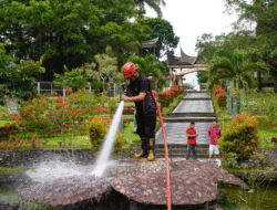 Belajar Budaya, Bermain dengan Rusa, Pesona Baru PDIKM Padang Panjang