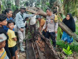 Penemuan Kerangka Manusia di Pohon Aren, Kasat Reskrim Polres Sergai: Masih Penyelidikan, Jangan Percaya Isu Medsos