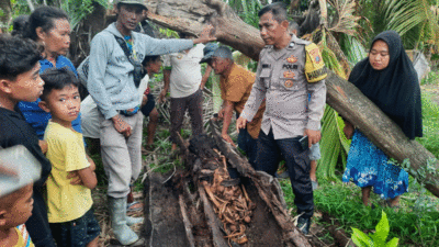 Poilisi dan warga di sekitar TKP penemuan kerangka manusia doi pohon aren.