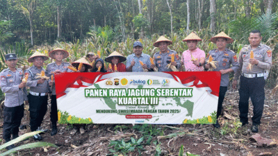 Foto bersama di sela panen jagung.
