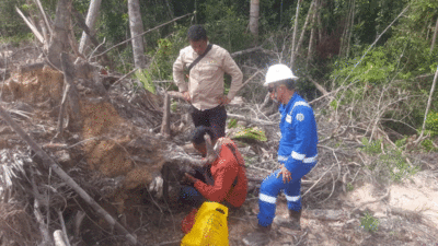 Tim sedang meneliti jejak harimau.