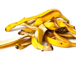 Mengenali Potensi Limbah Kulit Pisang Sebagai Sumber Bioetanol Berkelanjutan dengan Inovasi Fotokatalis V-Doped TiO₂