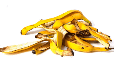 Kulit pisang