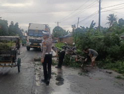 Gerak Cepat Polres Sergai Bersihkan Pohon Tumbang, Masyarakat Apresiasi Tindakan Sigap Polisi