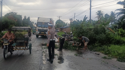 Jalan yang sempat tertutup phon tumbang akhirnya bisa kembali dilintasi.