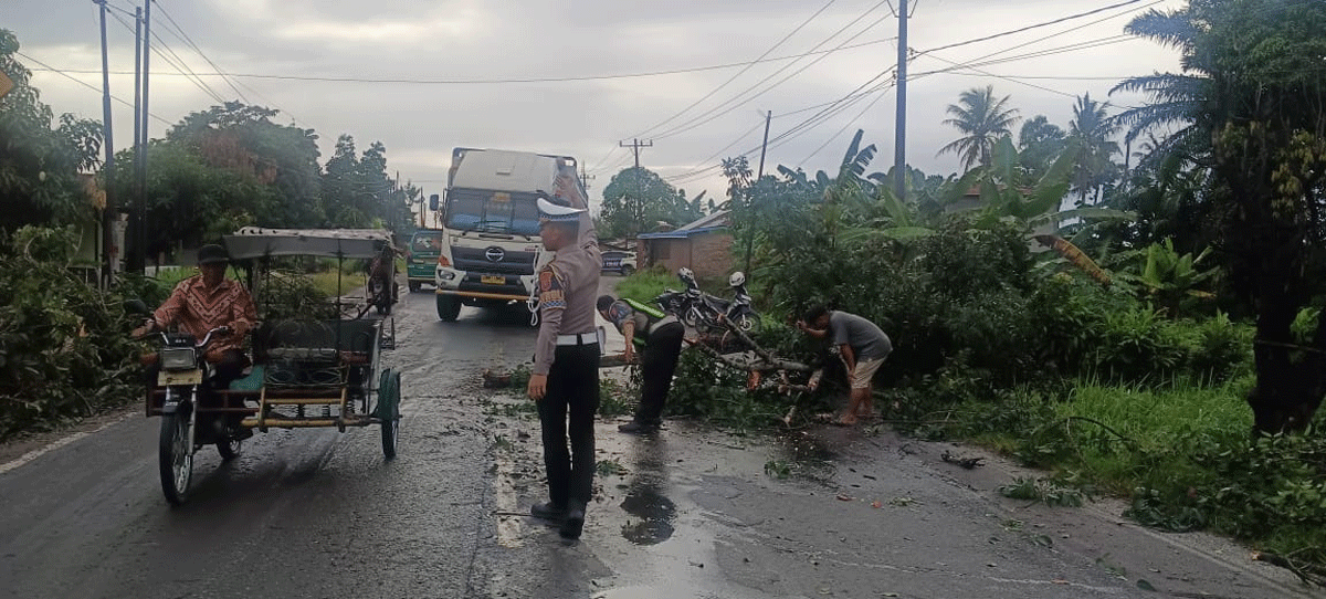 Jalan yang sempat tertutup phon tumbang akhirnya bisa kembali dilintasi.