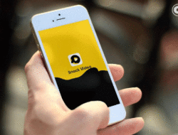 Cuan Sambil Rebahan, Ini Enam Aplikasi Video Penghasil Uang, Lansung ke DANA dan PayPal