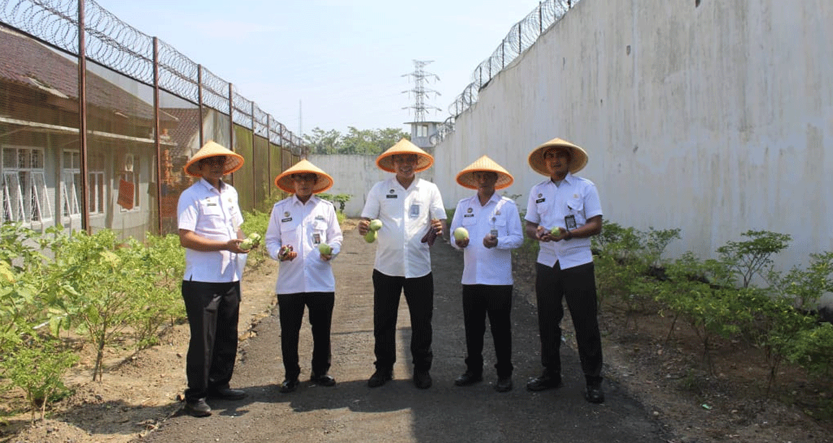 Produktif di Balik Jeruji, Cabai Dipanen di Lapas Way Kanan 1 Foto bersama usai panen cabai