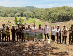 Polres Way Kanan Tanam Jagung Serentak di Kasui Pasar