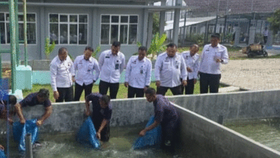 Dukung Ketahanan Pangan Nasional, Lapas Way Kanan Kembangkan Budidaya Ikan Lele dan Ikan Patin