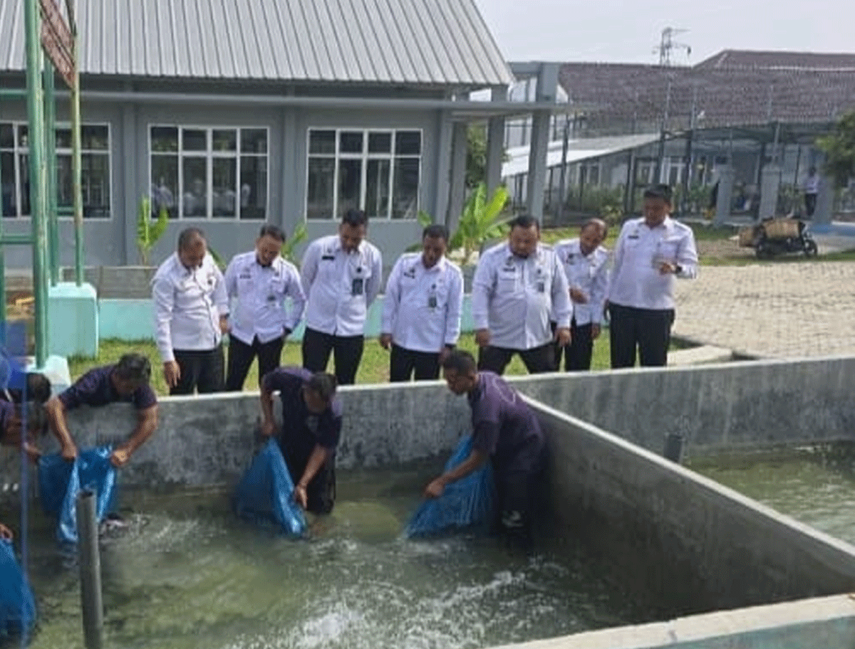 Penaburan bibit ikan di komplek Lapas Way Kanan.