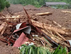 Sawah dan Ladang Tak Berbekas, Petani Bingung Mau Berusaha Kembali, Prabowo Perlu Datang ke Sini