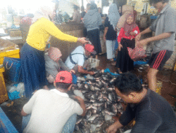 Hasil Tangkapan Nelayan Menurun, Harga Ikan di TPI Tanjung Beringin Melonjak