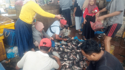 Transaksi di pasar ikan