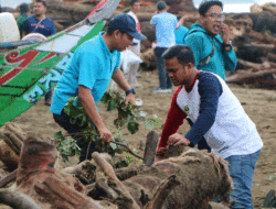 Usai Banjir Bandang, Kayu-kayu di Pesisir Padang Dibersihkan, Nelayan Mulai Melaut Lagi
