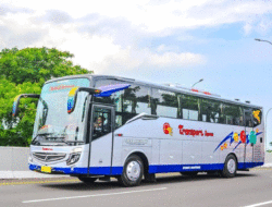 Persaingan Bus Sumbar Menyala Jelang Akhir Tahun, Transport Express Jaya Luncurkan Unit Baru, TAM Segera Beroperasi