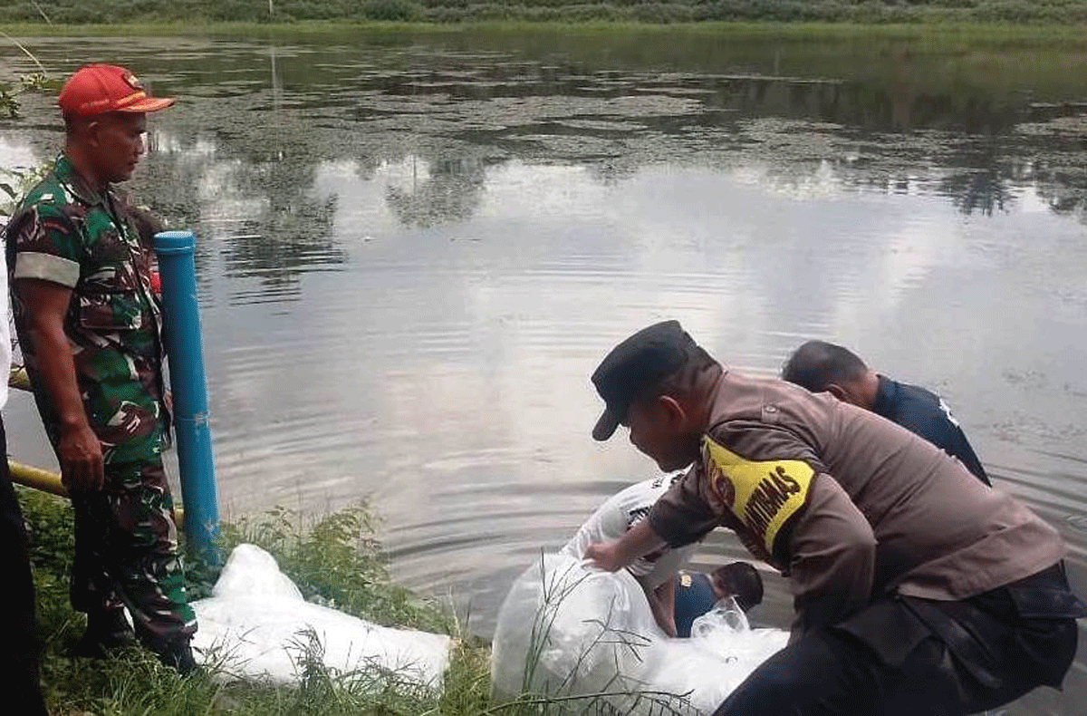 Penebaran benih ikan di Nagari Sungai Dareh.