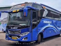 Kerap Antar Pemudik Jelang Lebaran ke Sumbar dari Jakarta, Siapa Pemilik Bus Pandawa 87?