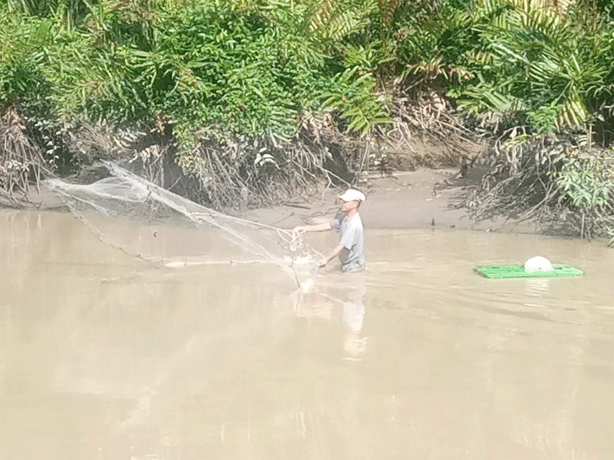 Menjala udang di sungai.