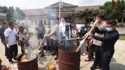 Polres Serdang Bedagai Musnahkan 13,8 Kilogram Ganja, Dua Tersangka Terancam Hukuman Berat