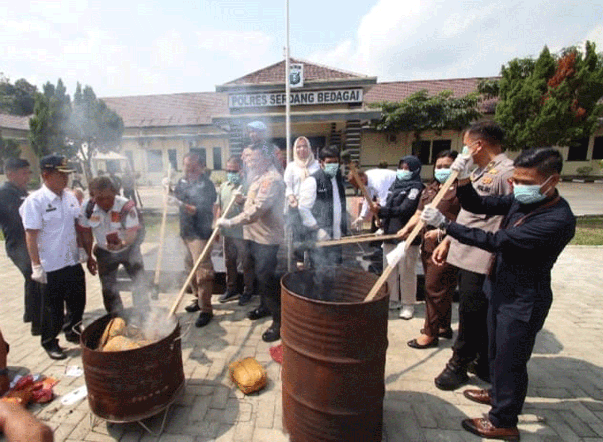 Pemusnahan ganja di Polres Serdang Bedagai.