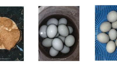 Cara membuat telur asing