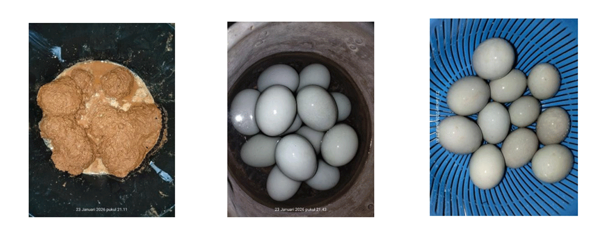 Cara membuat telur asing