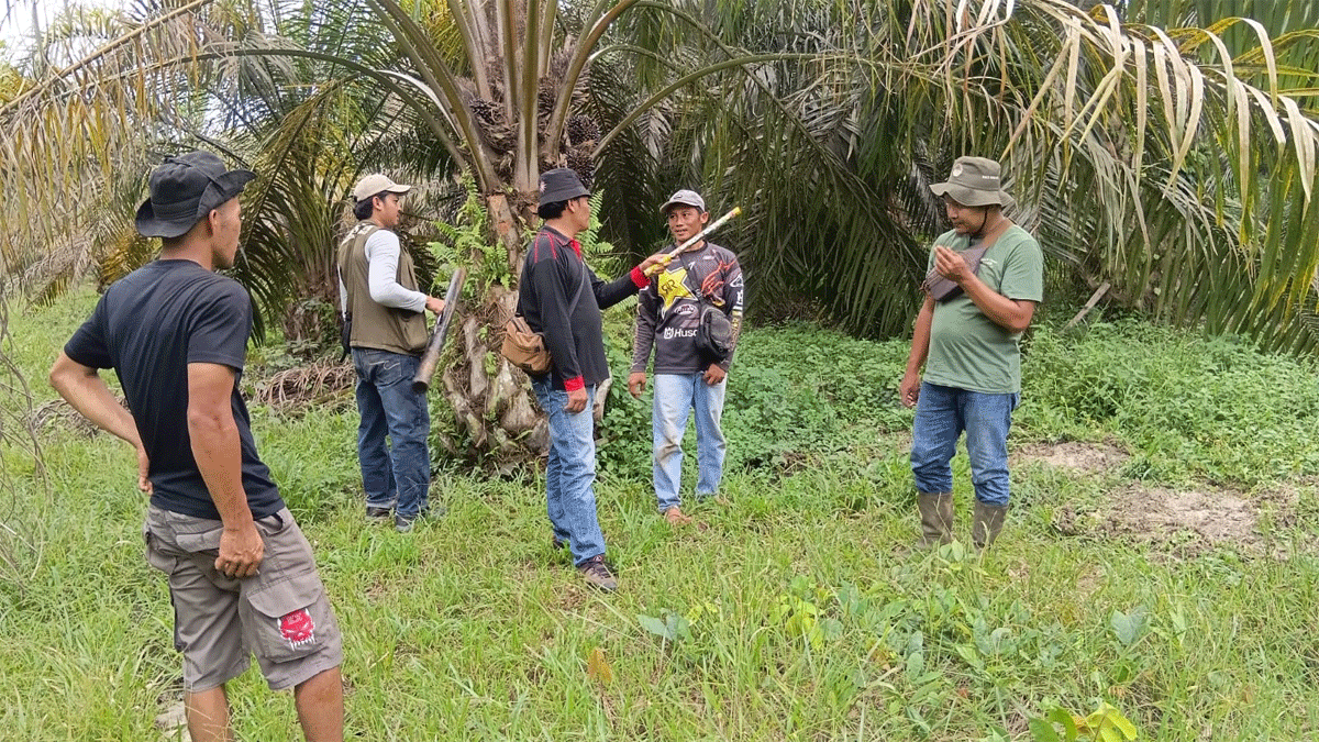 Tim BKSDA Sumbar turun ke lokasi kemunculan beruang di Dharmasraya.