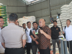 Selama Ramadan dan Idul Fitri, Stok Pangan di Bungo Aman