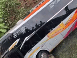 Kuat Dugaan Sopir Mengantuk, Bus Miyor Kecelakaan Tunggal di Muara Kilis