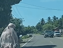 Mudik dari Jakarta ke Sumbar, Lintas Barat Sumatera Boleh Dicoba: 99,99 Persen Jalan Bagus