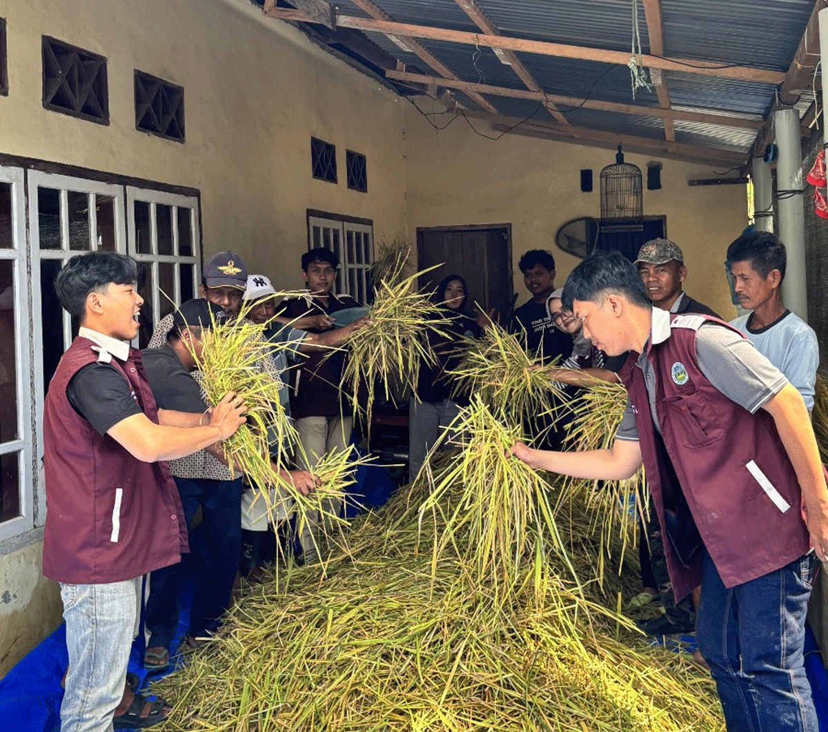 Mahasiswa KKN edukasi masyarakat tentangb pemanfaatan jerami.
